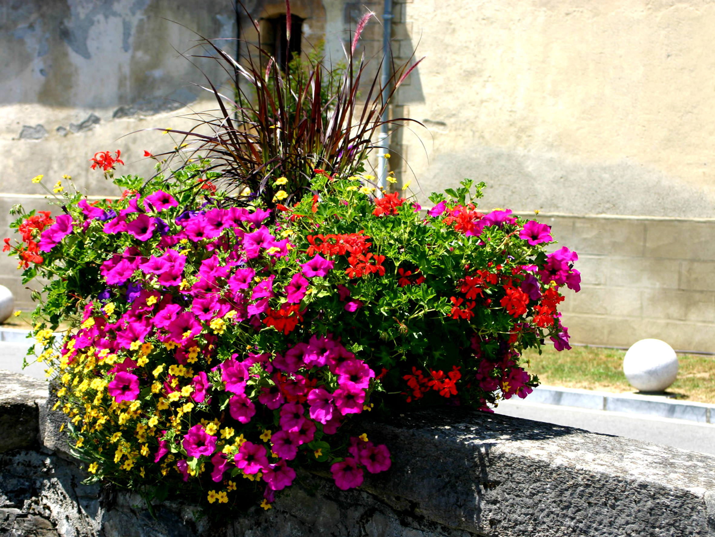 jardins-du-terroir-horticulture-culture-plantes-jardiniere-mercenac-ariege-09