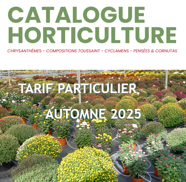 Catalogue Chrysanthème Automne 2025 - prix public TTC