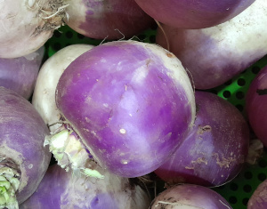 Navet Violet